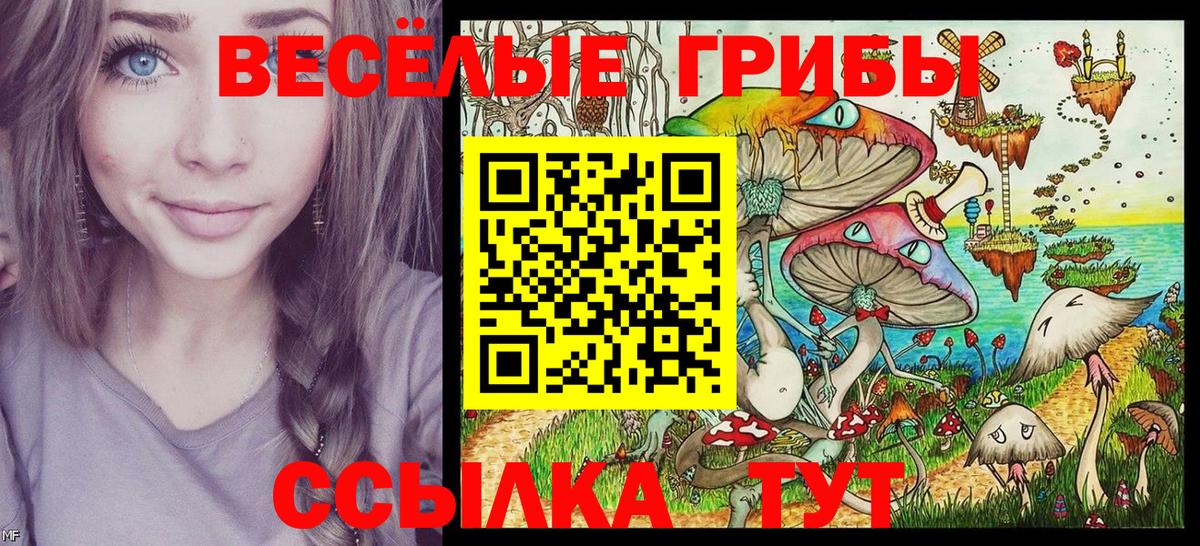 Псилоцибиновые грибы прущие грибы Барабинск