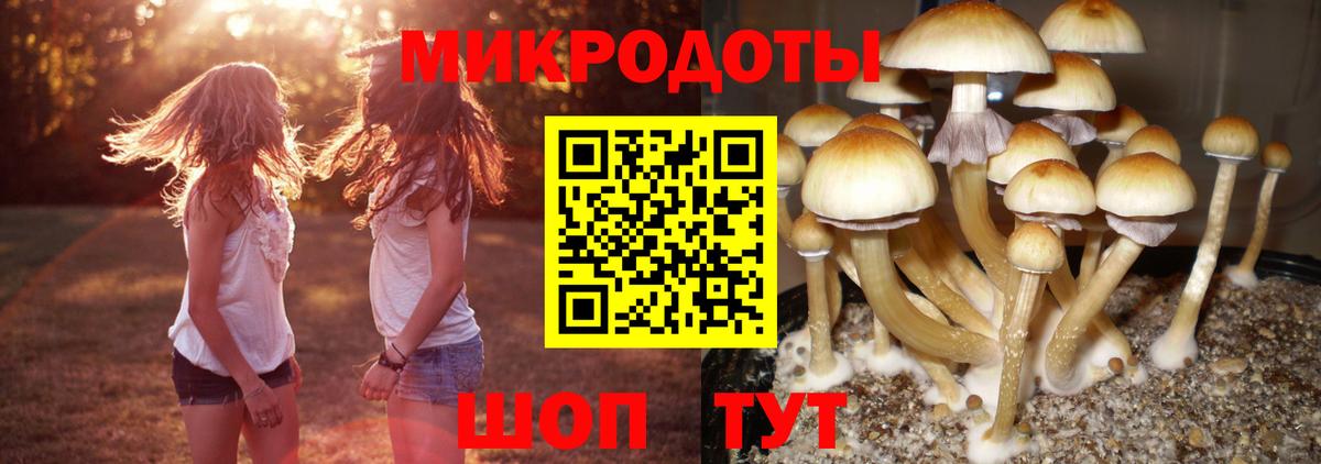 сколько стоит  Вход с VPN  Барабинск  Галлюциногенные грибы мицелий 